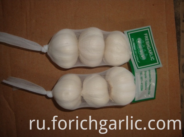 Pure White Garlic